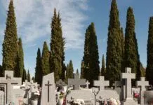 cementerio guadalajara