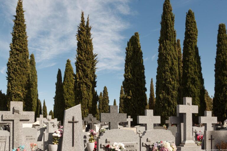 cementerio guadalajara