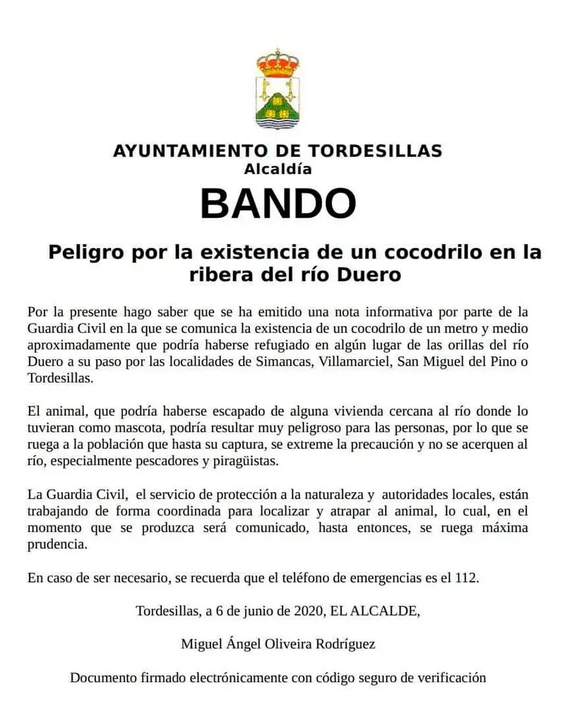 Así es el peligroso cocodrilo que tiene en vilo a los vecinos de Pesqueruela (Valladolid) 3 tor