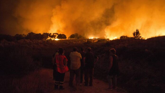 1501797487 975172 1501832845 noticia fotograma