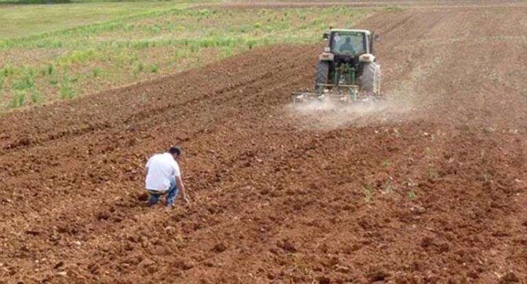 campo trabajo