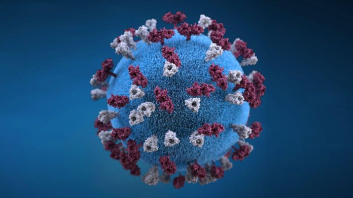 el coronavirus no esta vivo ni muerto