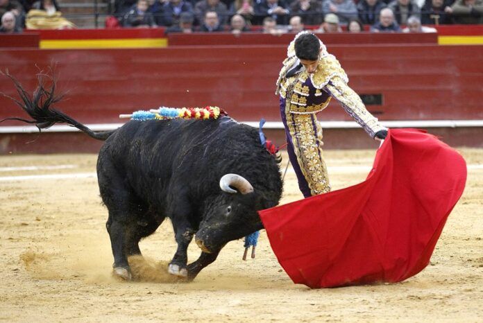 corrida toros