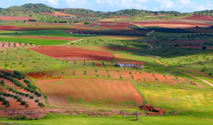 Fotografia de la Plataforma por una Transición Ecológica Justa