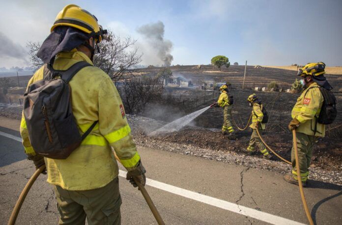 huelva acumula el 70 de la superficie forestal quemada en andalucia en 4 anos