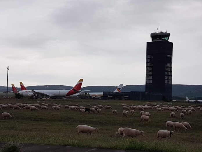 aeropuerto1