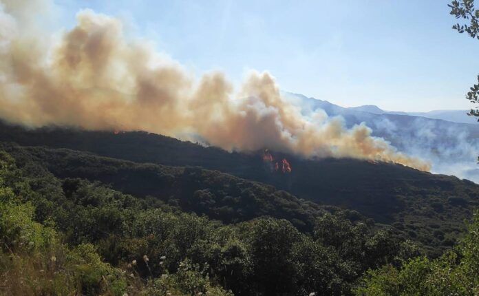 incendio autol yerga 6 U402318036sqD U1401064413000SFC 1968x1216@La Rioja LaRioja