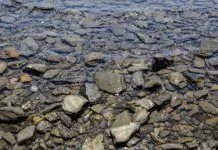 30573426 detalle de las playas de piedra de la costa brava en portlligat cadaques espana