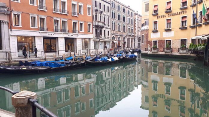 los canales de venecia estan mas limpios que nunca por la crisis del coronavirus