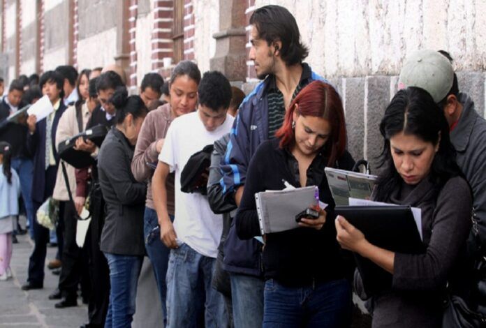 nota empleo jovenes