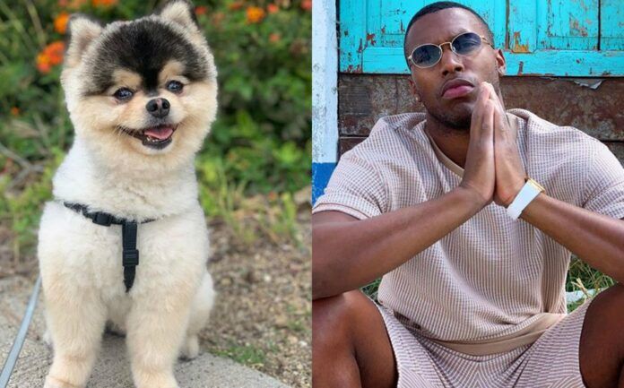 daniel sturridge recupero mascota robo