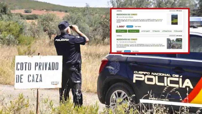 detenidos vender cacerias falsas por internet