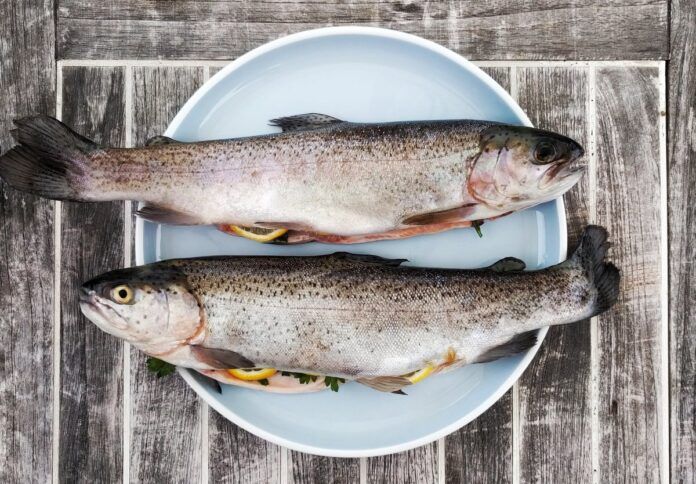 pescados blancos frescos