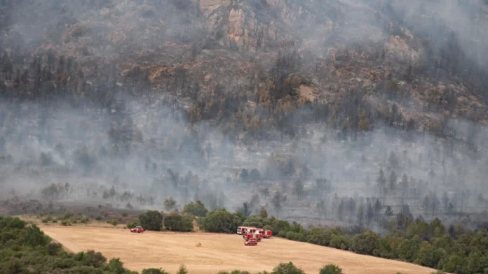 uno incendios cataluna 98