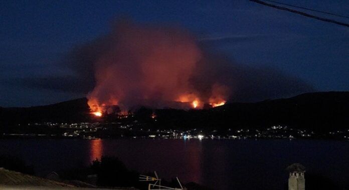 if castrelo de mino galicia incendio forestal