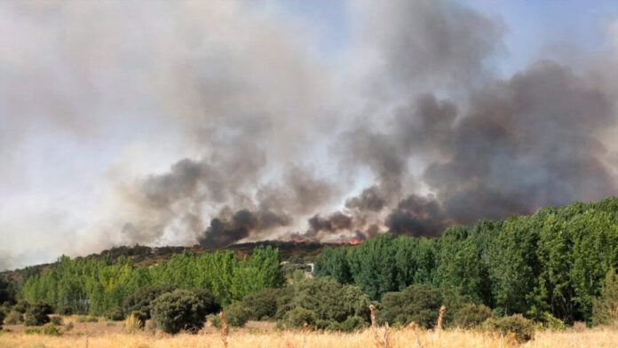 llamas parque natural lagunas ruidera declarado incendio forestal 1068x601 1