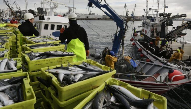 pescador pesquero barco galicia pescado