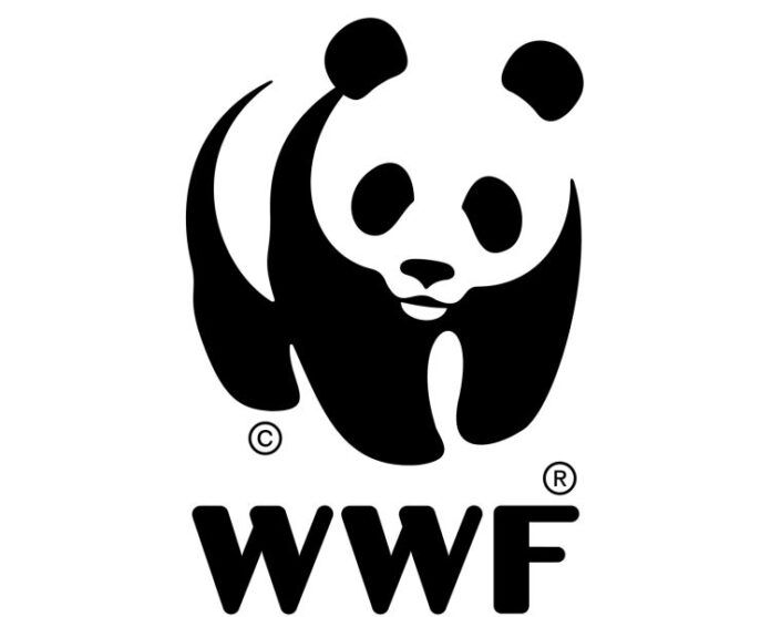 wwf logo 750 x 600