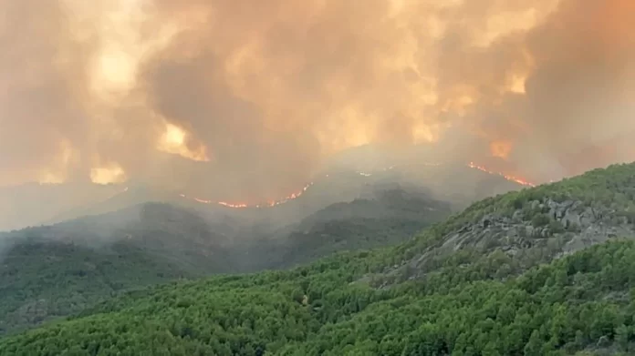 incendio forestal avila if