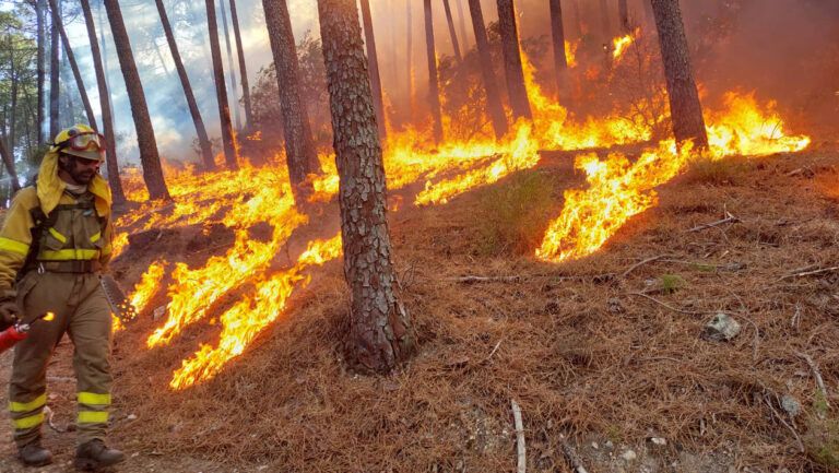 incendio forestal if bombero control