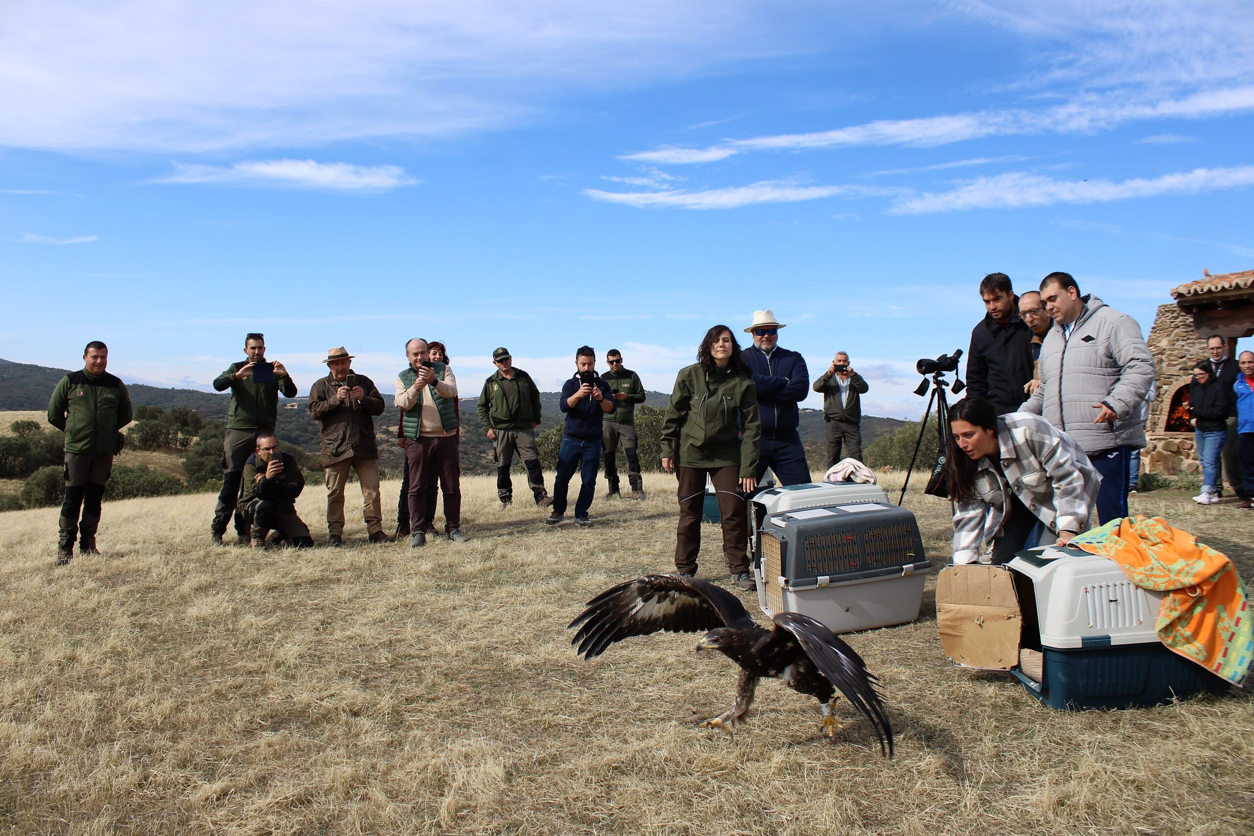 cuatroaguilas3 scaled