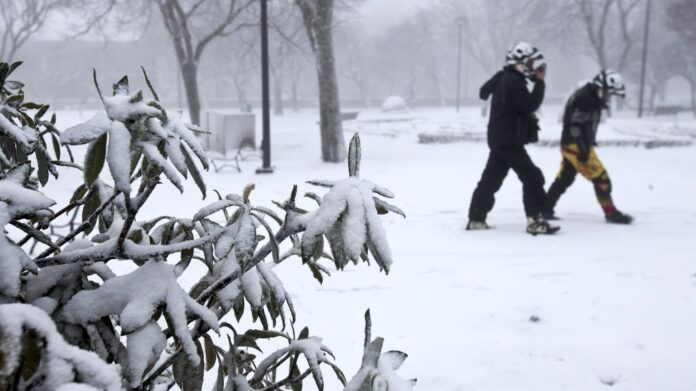 nieve polar frio