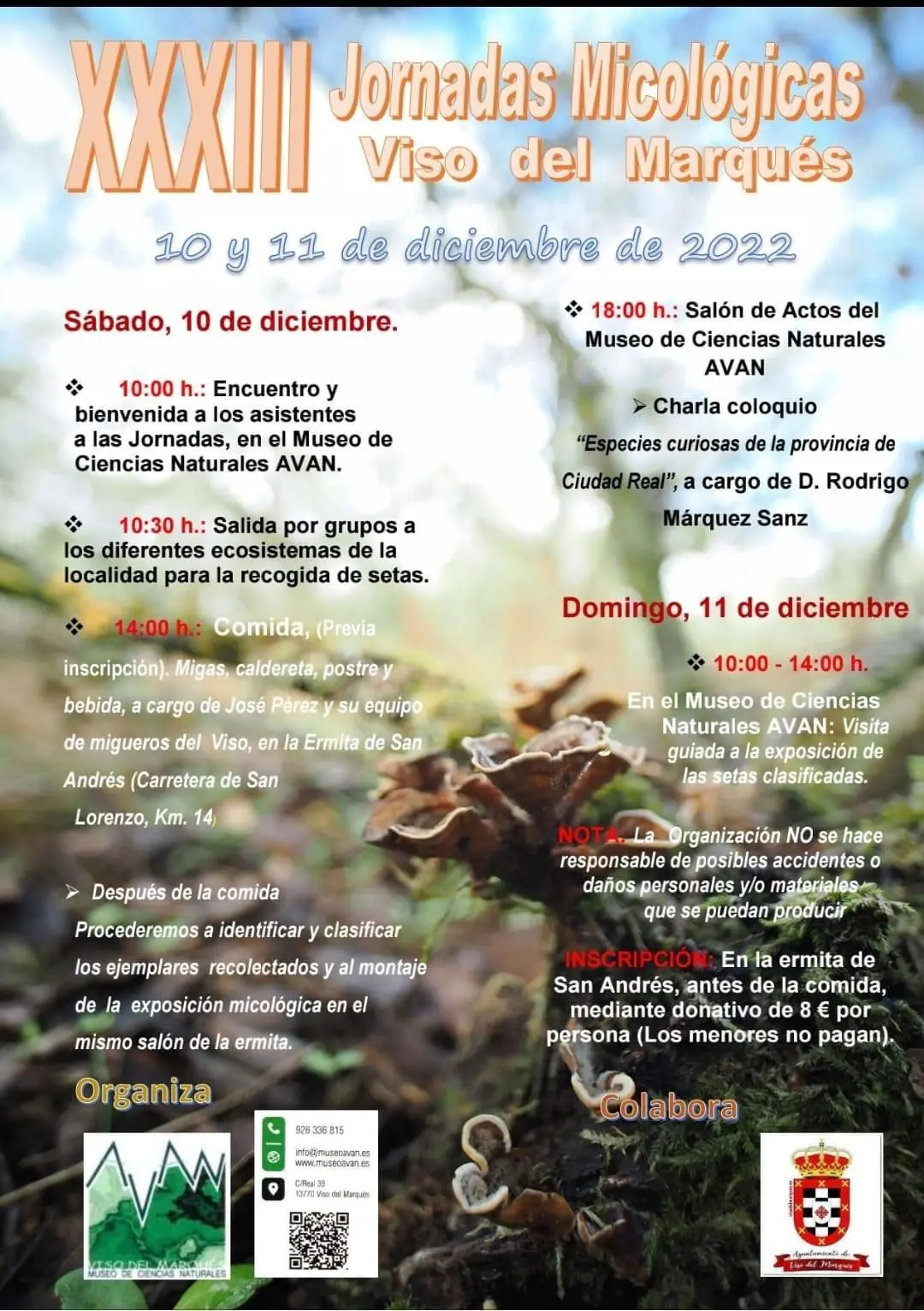 CLM: <strong>El Museo de Ciencias Naturales de Viso del Marqués acoge los días 10 y 11 de diciembre las XXXIII Jornadas Micológicas</strong> 1 Viso cartel setas 1