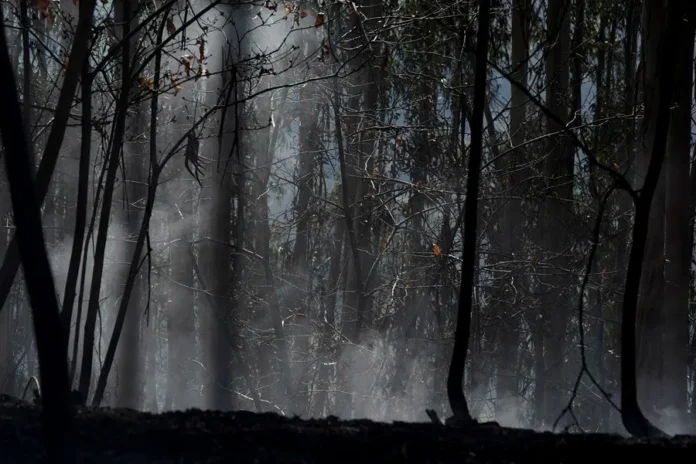 asturias incendios