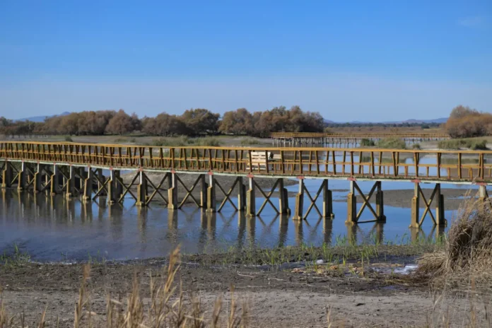 tablas de daimiel