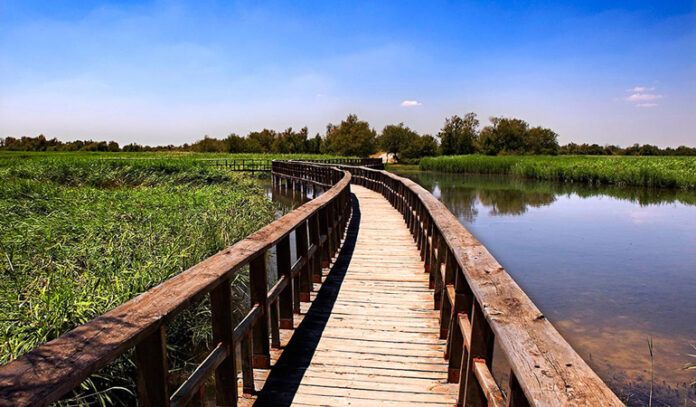 tablas de daimiel ciudad real