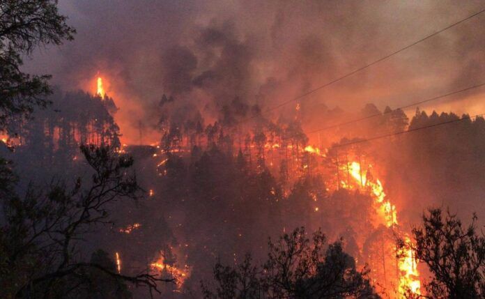 incendio en la palma