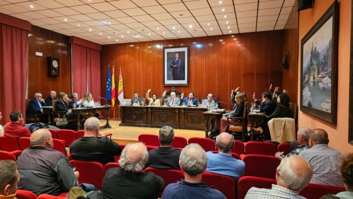 Imagen de Pleno de Manzanares