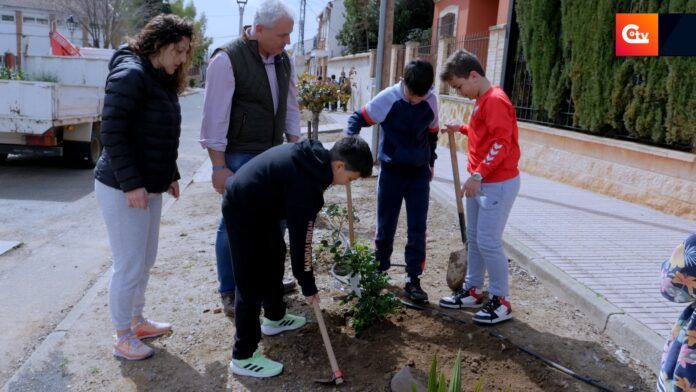 dia del arbol 6.1.3