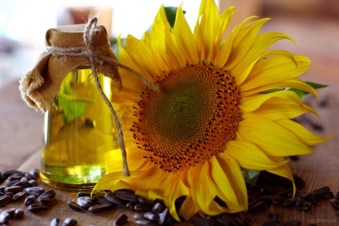 aceite girasol