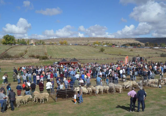 FERIA DE GANADO