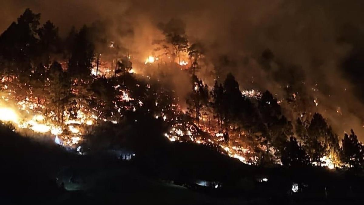 incendio forestal la palma