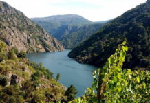 Ribeira Sacra