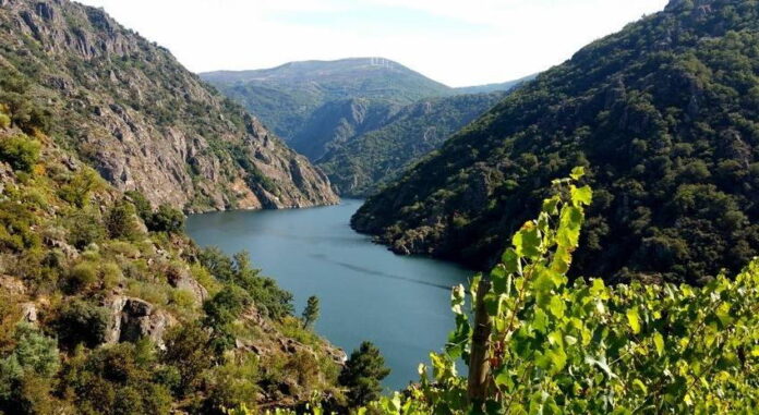 Ribeira Sacra