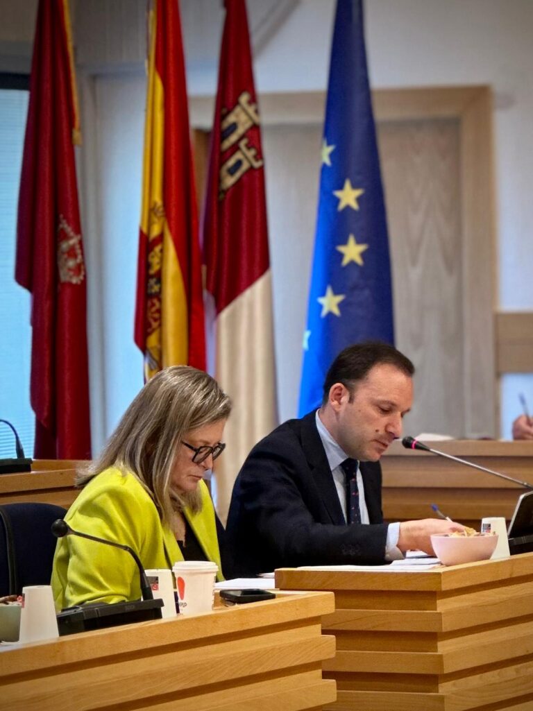 Guillermo Arroyo en Pleno