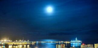 las palmas noche