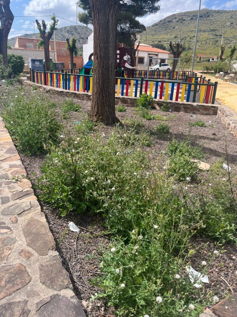 Estado descuidado parque Moral 1