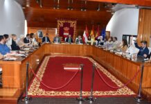 pleno