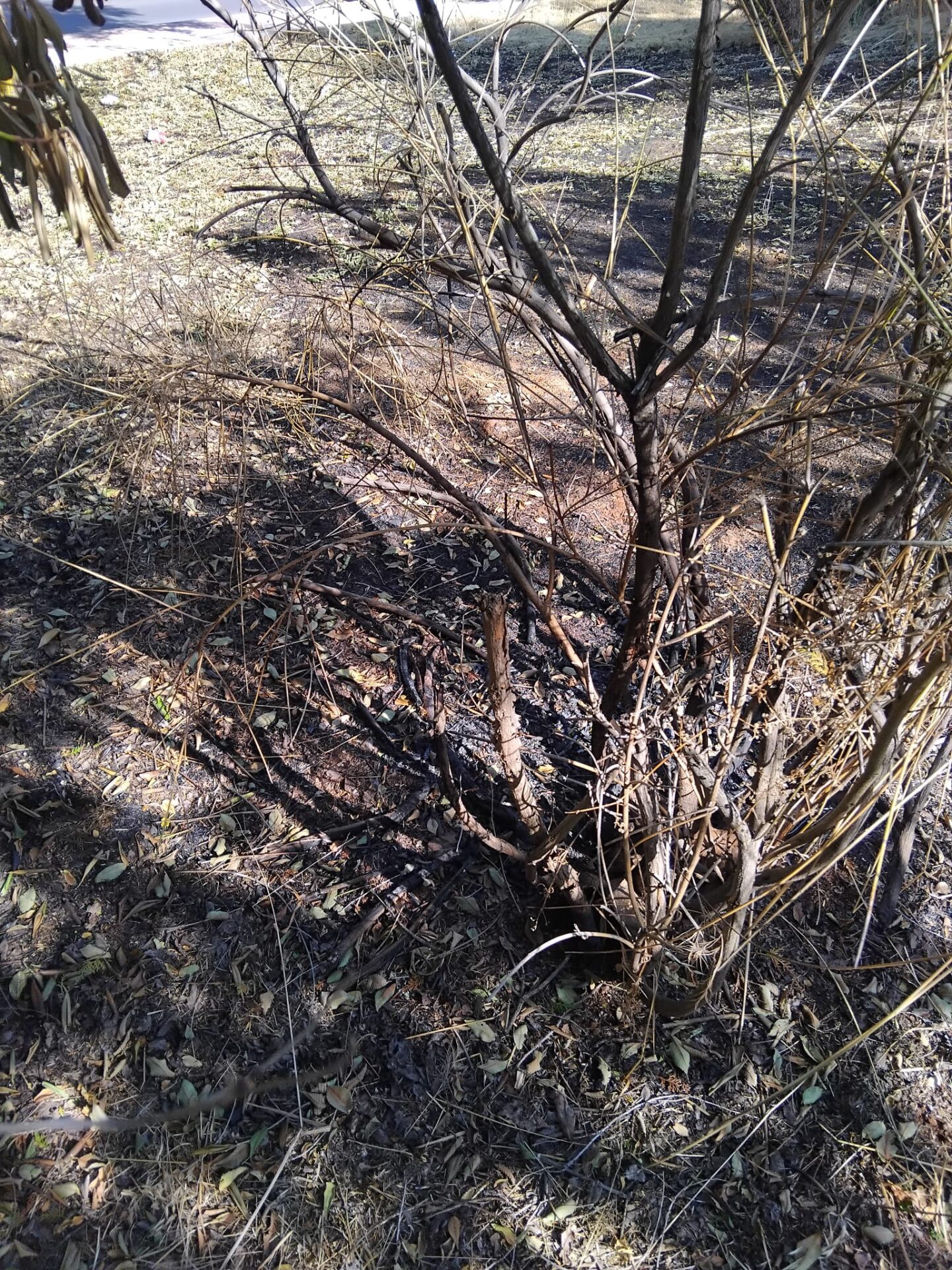 0021