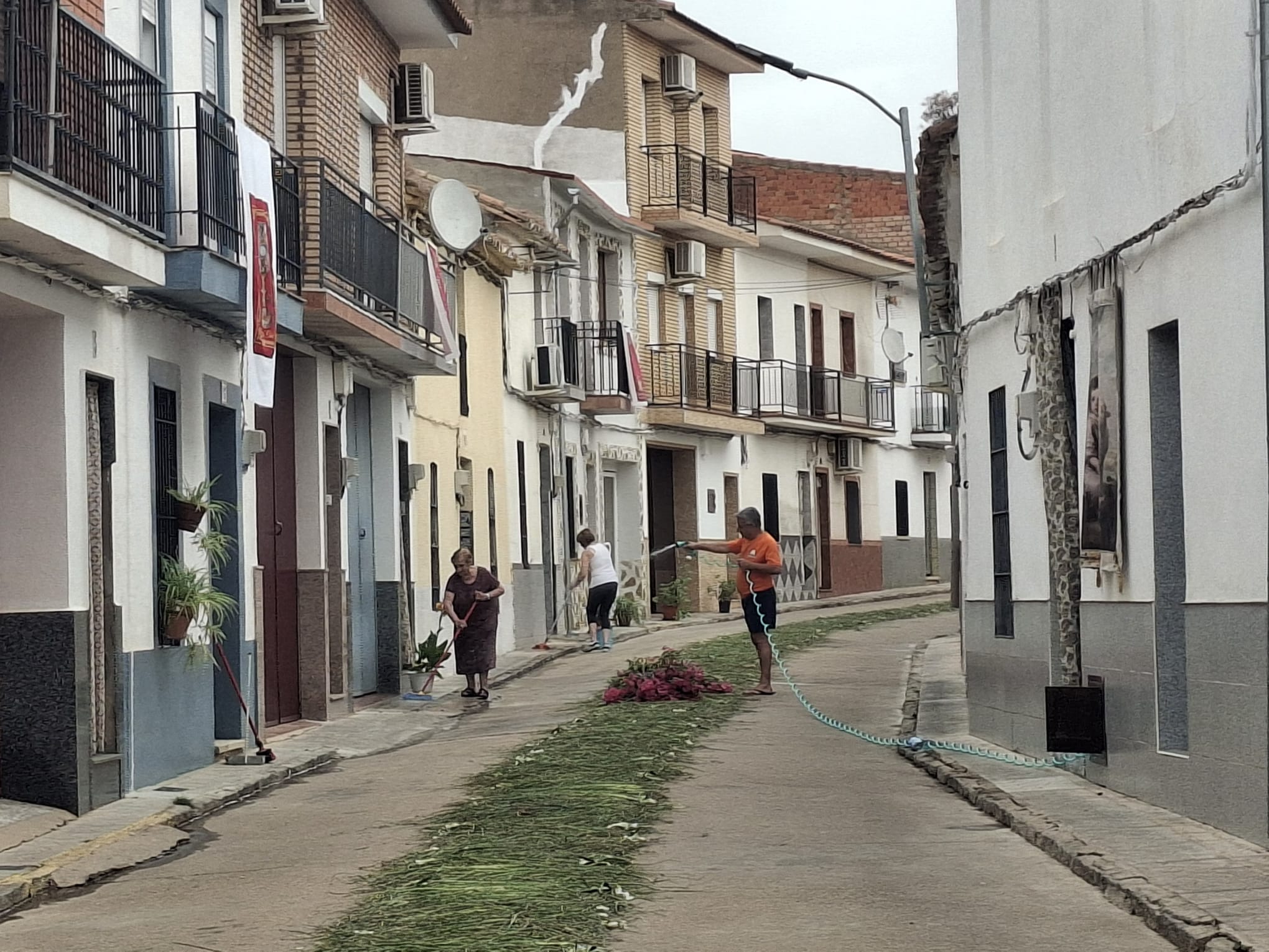 Guadalmez Corpus2