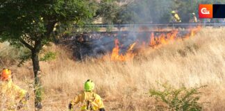 ▶️Puertollano refuerza su escudo verde con una nueva quema controlada: “El fuego, bien gestionado, es nuestro aliado” *VÍDEO* Quemas controladas 6.1.4