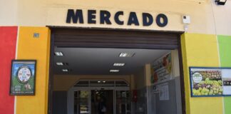 mercado municipal puertollano