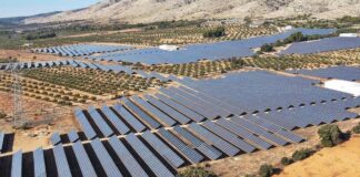 olivares y fotovoltaica