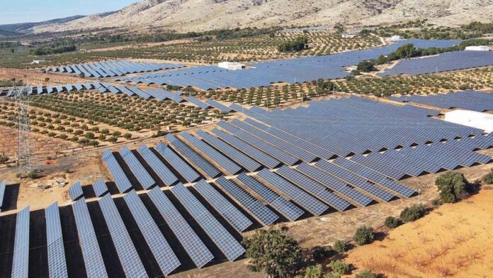 olivares y fotovoltaica