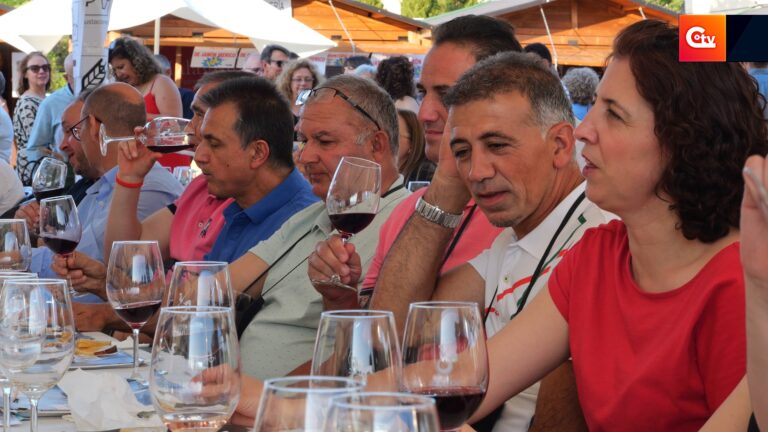 saborea la solana 6.1.1