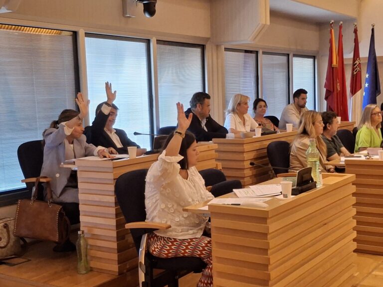 vox solo votación enmienda nuevo estatuto